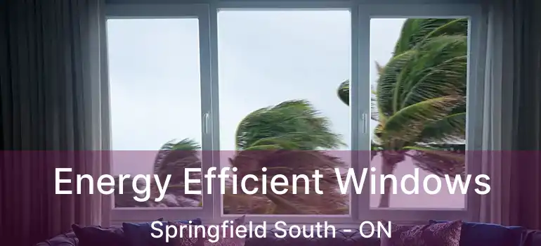  Energy Efficient Windows Springfield South - ON