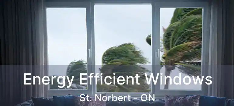  Energy Efficient Windows St. Norbert - ON