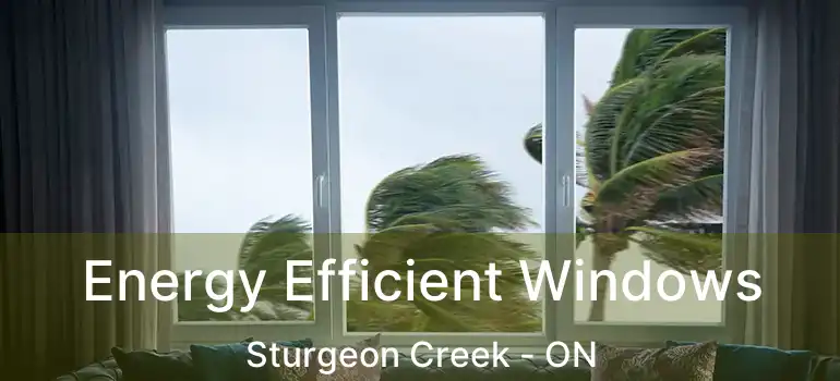  Energy Efficient Windows Sturgeon Creek - ON
