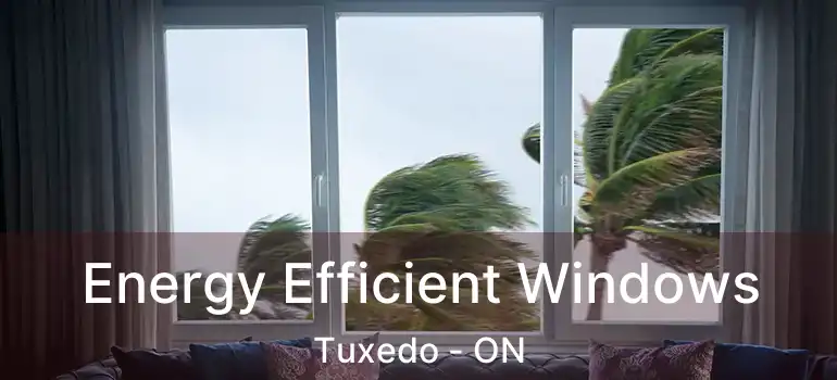  Energy Efficient Windows Tuxedo - ON