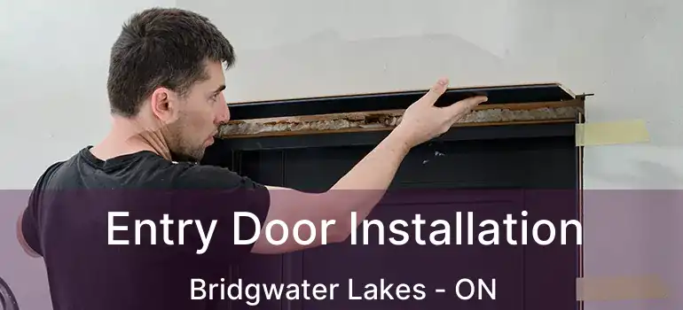  Entry Door Installation Bridgwater Lakes - ON