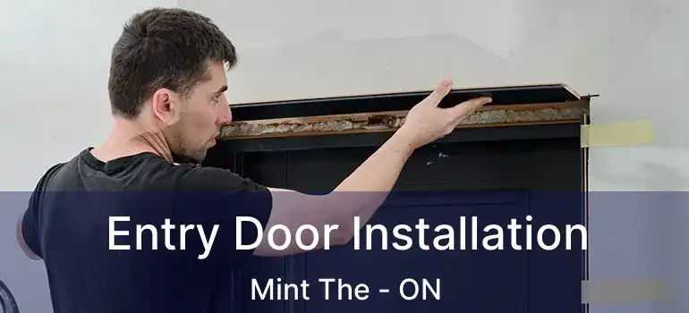  Entry Door Installation Mint The - ON