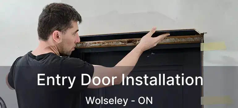  Entry Door Installation Wolseley - ON