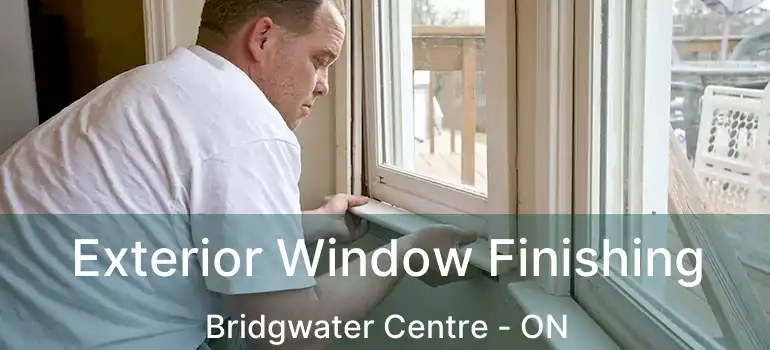  Exterior Window Finishing Bridgwater Centre - ON