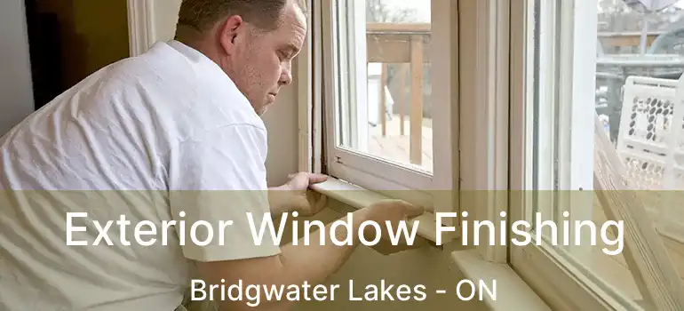  Exterior Window Finishing Bridgwater Lakes - ON