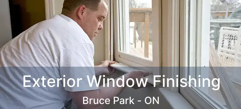  Exterior Window Finishing Bruce Park - ON