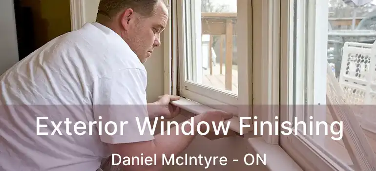  Exterior Window Finishing Daniel McIntyre - ON