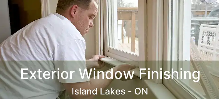  Exterior Window Finishing Island Lakes - ON