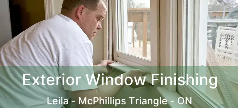  Exterior Window Finishing Leila - McPhillips Triangle - ON