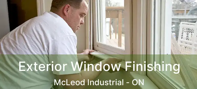 Exterior Window Finishing McLeod Industrial - ON