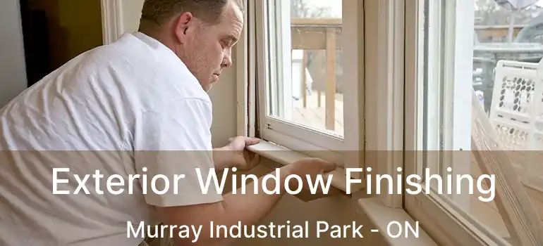  Exterior Window Finishing Murray Industrial Park - ON