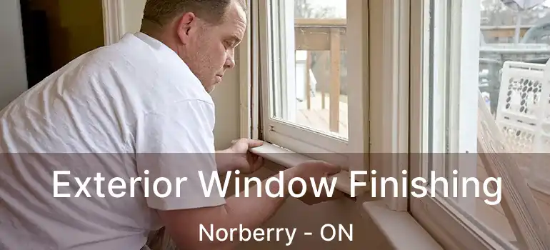  Exterior Window Finishing Norberry - ON