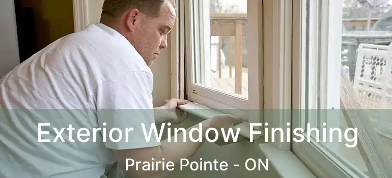  Exterior Window Finishing Prairie Pointe - ON
