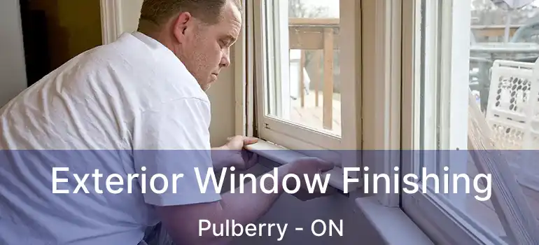  Exterior Window Finishing Pulberry - ON