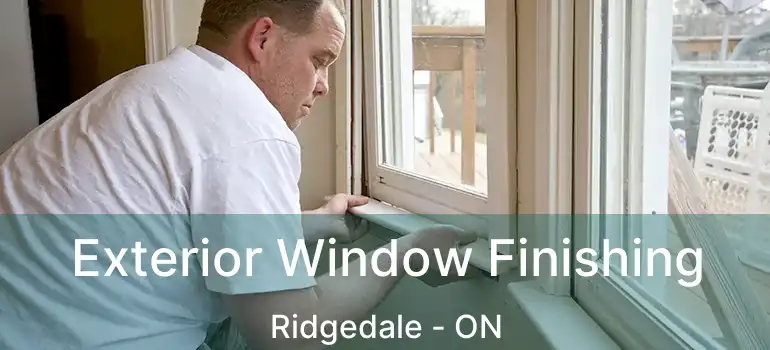  Exterior Window Finishing Ridgedale - ON