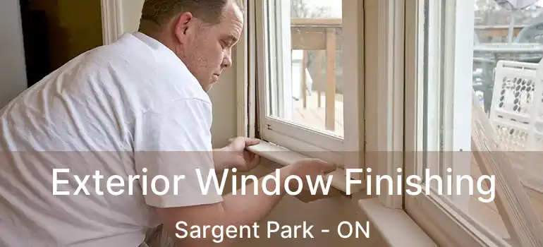  Exterior Window Finishing Sargent Park - ON