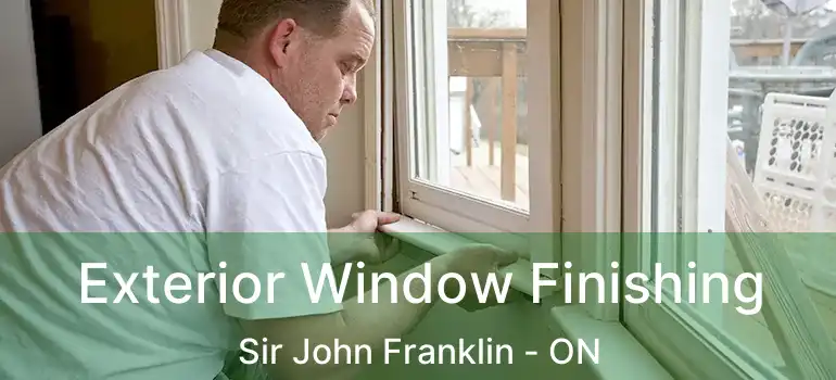  Exterior Window Finishing Sir John Franklin - ON