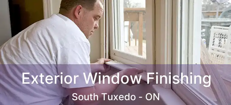  Exterior Window Finishing South Tuxedo - ON