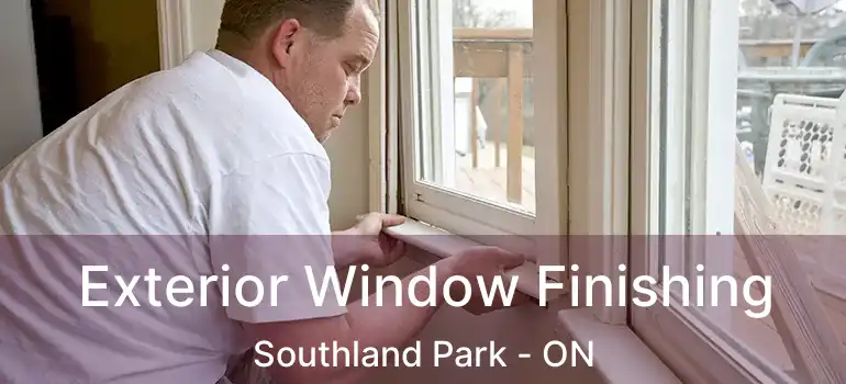  Exterior Window Finishing Southland Park - ON