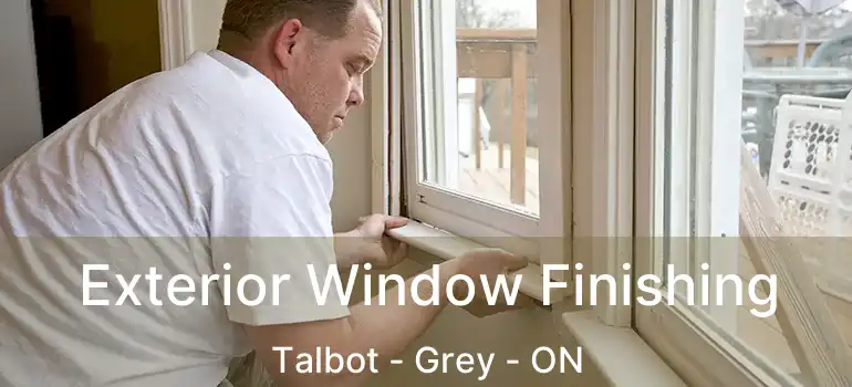  Exterior Window Finishing Talbot - Grey - ON