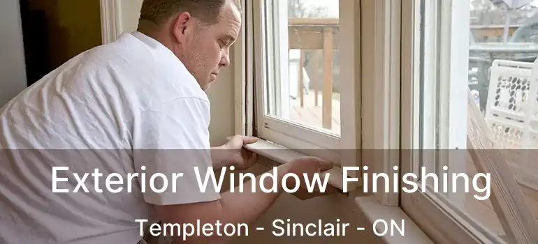  Exterior Window Finishing Templeton - Sinclair - ON