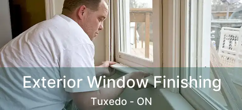  Exterior Window Finishing Tuxedo - ON