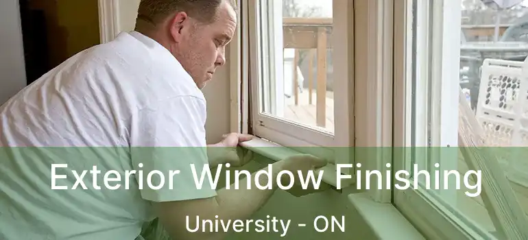  Exterior Window Finishing University - ON