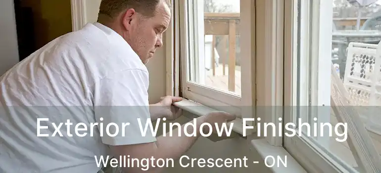  Exterior Window Finishing Wellington Crescent - ON