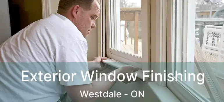  Exterior Window Finishing Westdale - ON