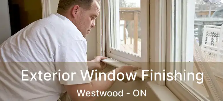  Exterior Window Finishing Westwood - ON