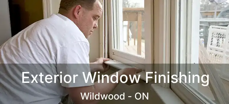  Exterior Window Finishing Wildwood - ON
