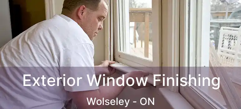  Exterior Window Finishing Wolseley - ON
