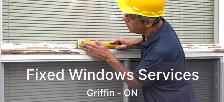  Fixed Windows Services Griffin - ON