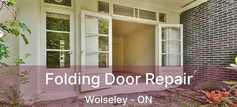  Folding Door Repair Wolseley - ON