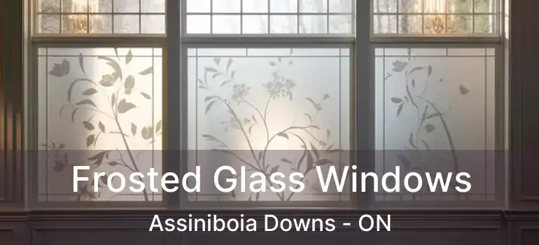  Frosted Glass Windows Assiniboia Downs - ON