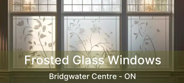  Frosted Glass Windows Bridgwater Centre - ON