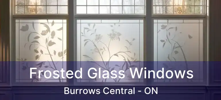  Frosted Glass Windows Burrows Central - ON