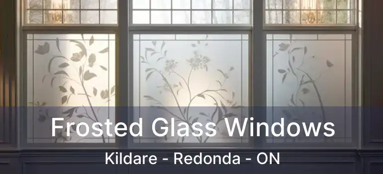  Frosted Glass Windows Kildare - Redonda - ON