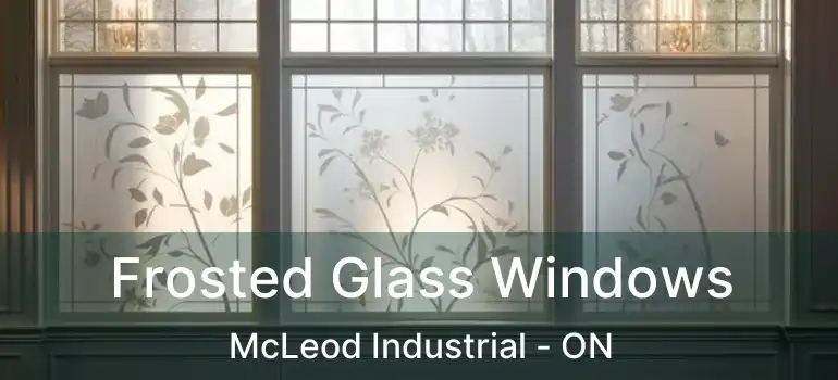  Frosted Glass Windows McLeod Industrial - ON