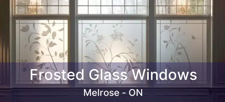  Frosted Glass Windows Melrose - ON