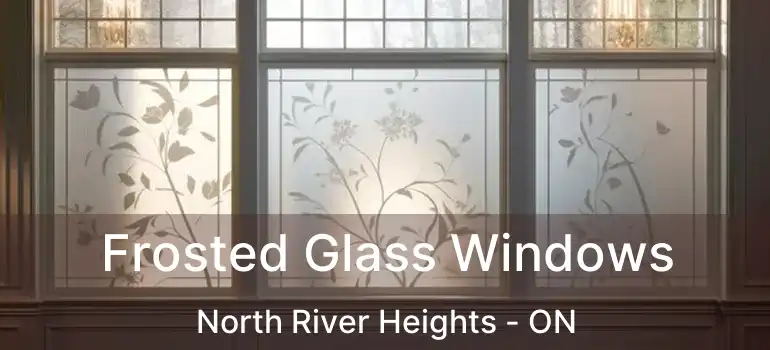  Frosted Glass Windows North River Heights - ON