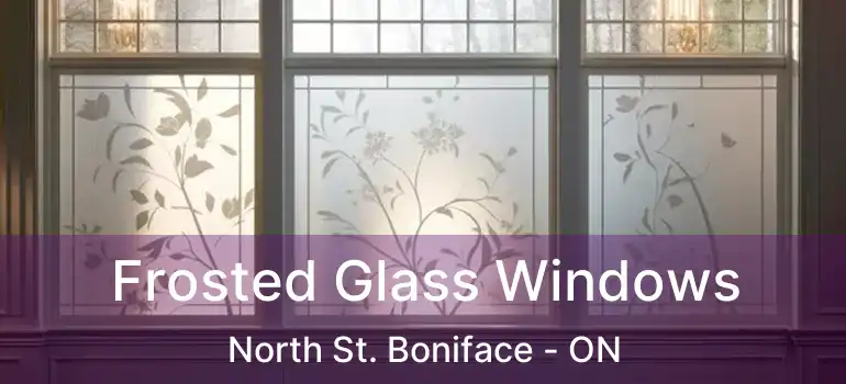  Frosted Glass Windows North St. Boniface - ON
