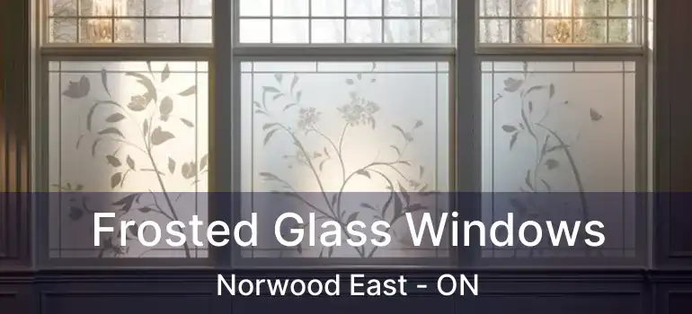  Frosted Glass Windows Norwood East - ON