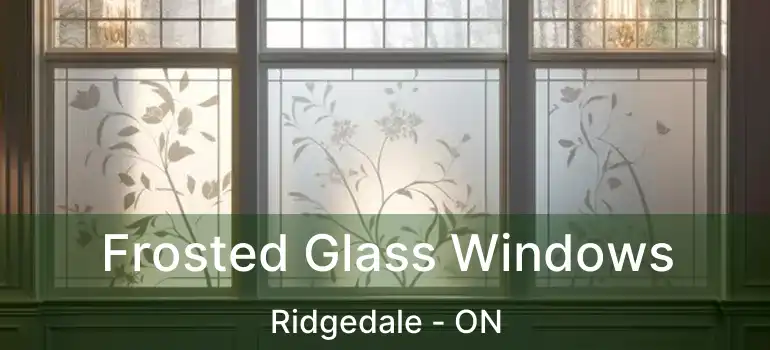  Frosted Glass Windows Ridgedale - ON