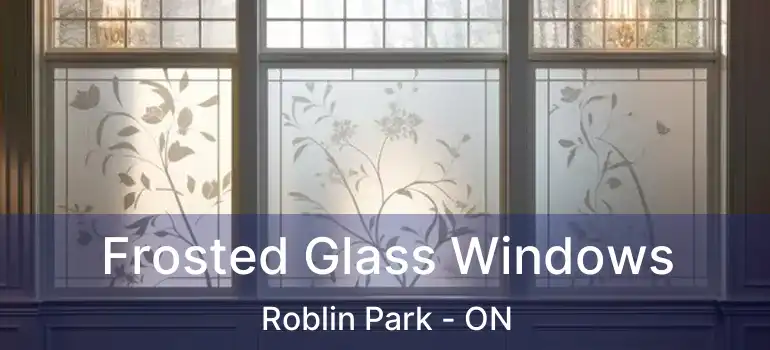  Frosted Glass Windows Roblin Park - ON
