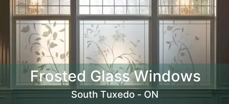  Frosted Glass Windows South Tuxedo - ON