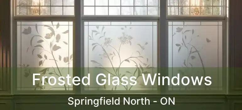  Frosted Glass Windows Springfield North - ON