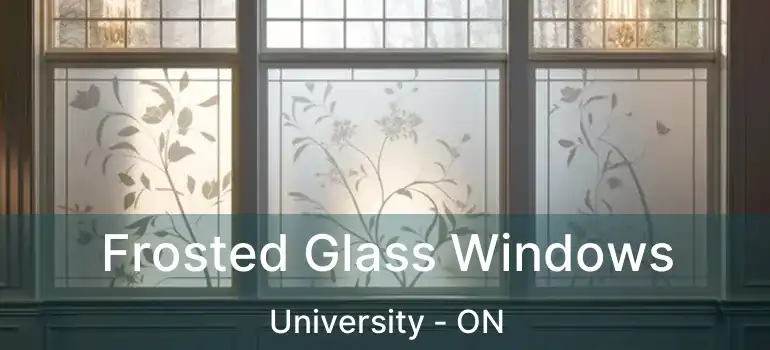  Frosted Glass Windows University - ON