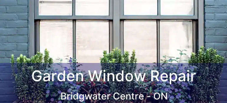  Garden Window Repair Bridgwater Centre - ON