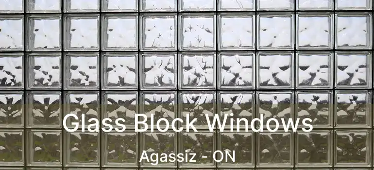  Glass Block Windows Agassiz - ON